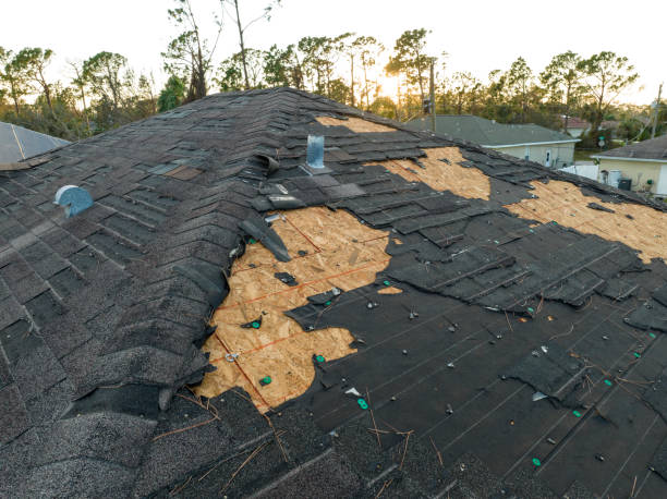 Best Green or Eco-Friendly Roofing Solutions  in Emory, TX